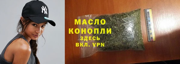 индика Абдулино